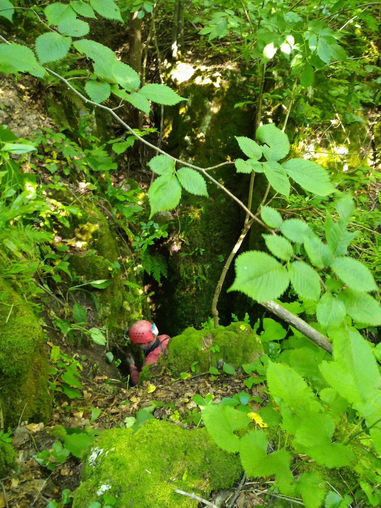 Avenul din Dolină (Avenul Groazei) - Image 2